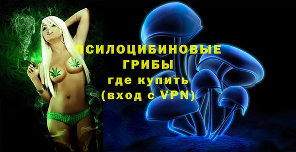 марки lsd Новозыбков