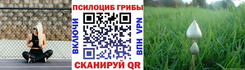 Псилоцибиновые грибы Cubensis  Сафоново 